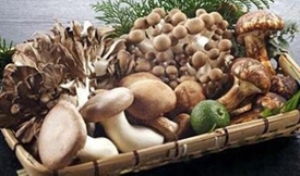 鲜蘑菇大量上市 如何挑选和烹饪？