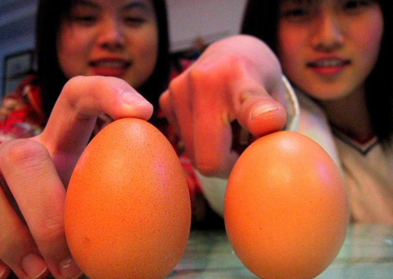土鸡蛋是不是比普通鸡蛋更有营养呢?