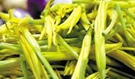 鲜黄花菜不能直接吃，否则容易中毒
