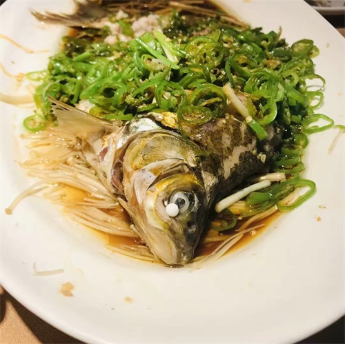 清蒸石斑鱼是哪个地方的菜 一起了解一下
